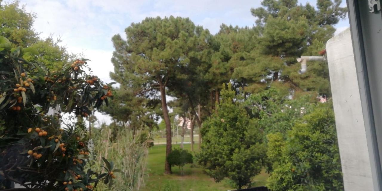 GuestHouse Marialva Park Corroios Eksteriør billede